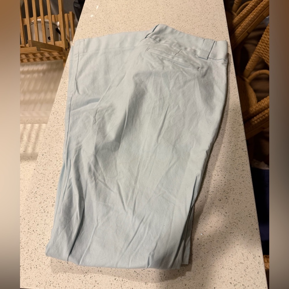 GAP women’s  Light Blue Chinos